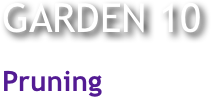 
GARDEN 10

Pruning